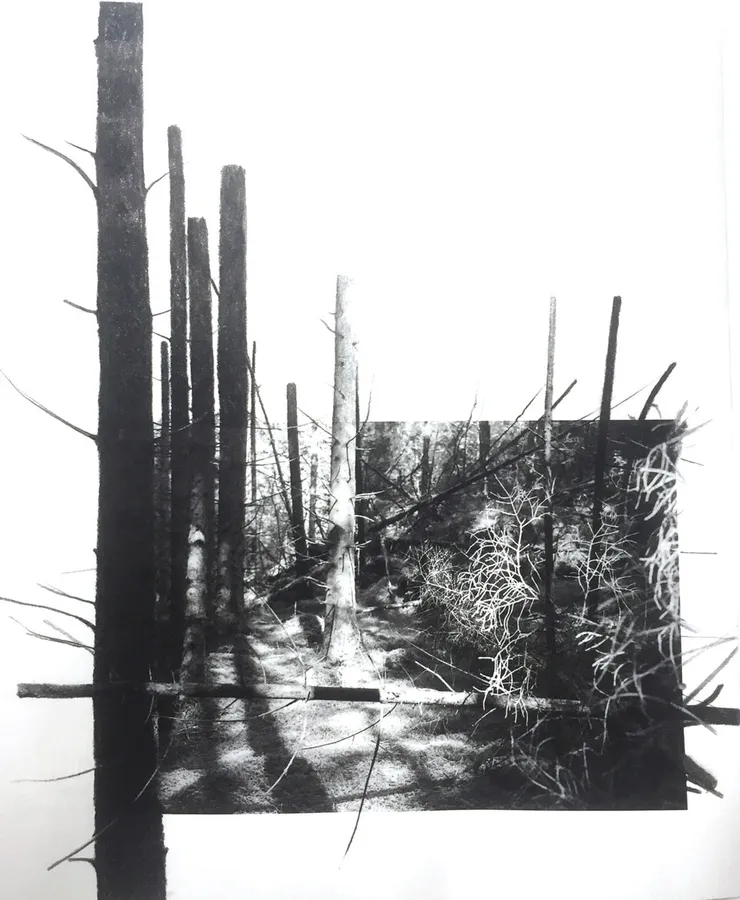 Dana Cojbuc, Yggdrasil #12, 2024