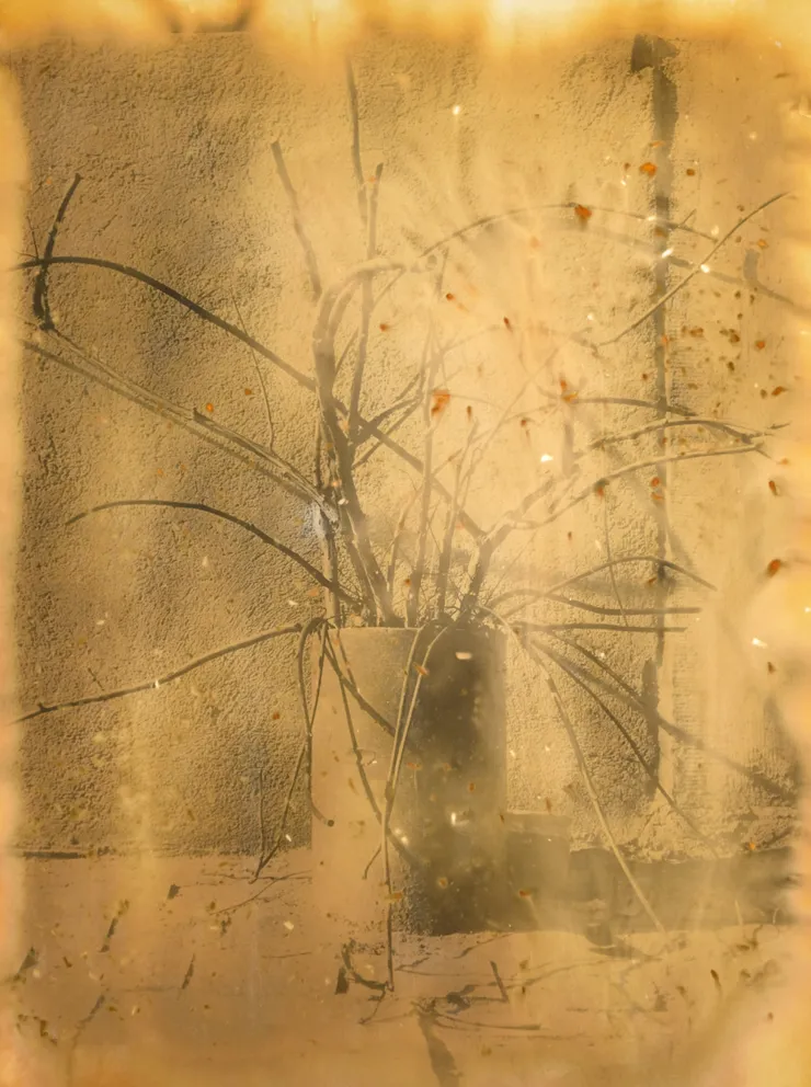 Nicolas Andry, Ville Nature 19, 2024