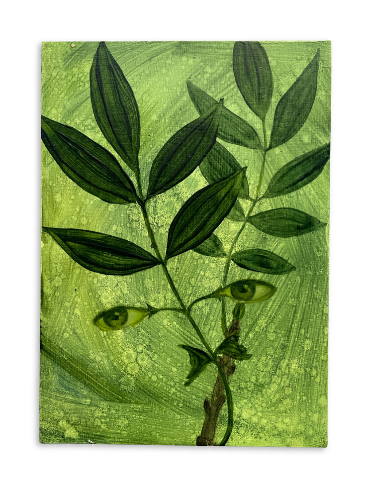 Xanthe Burdett, Ash Bough, 2025