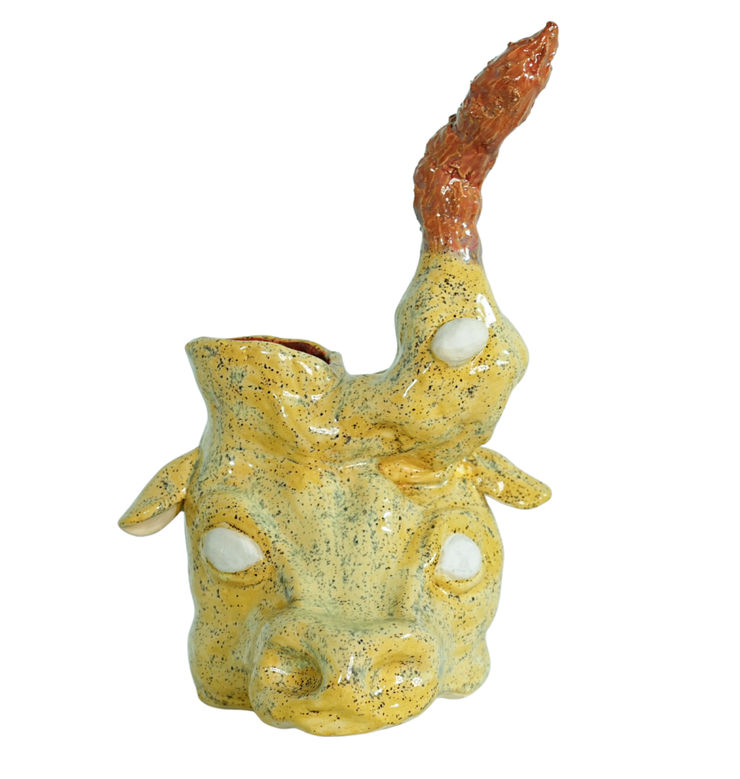 Wafa Al Falahi, BullBird, 2025