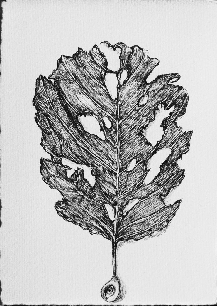 Alymamah Rashed, My Leaves Are Not Tied to Earth (The Trees Gave Me A Thousand Homes) 2, 2024