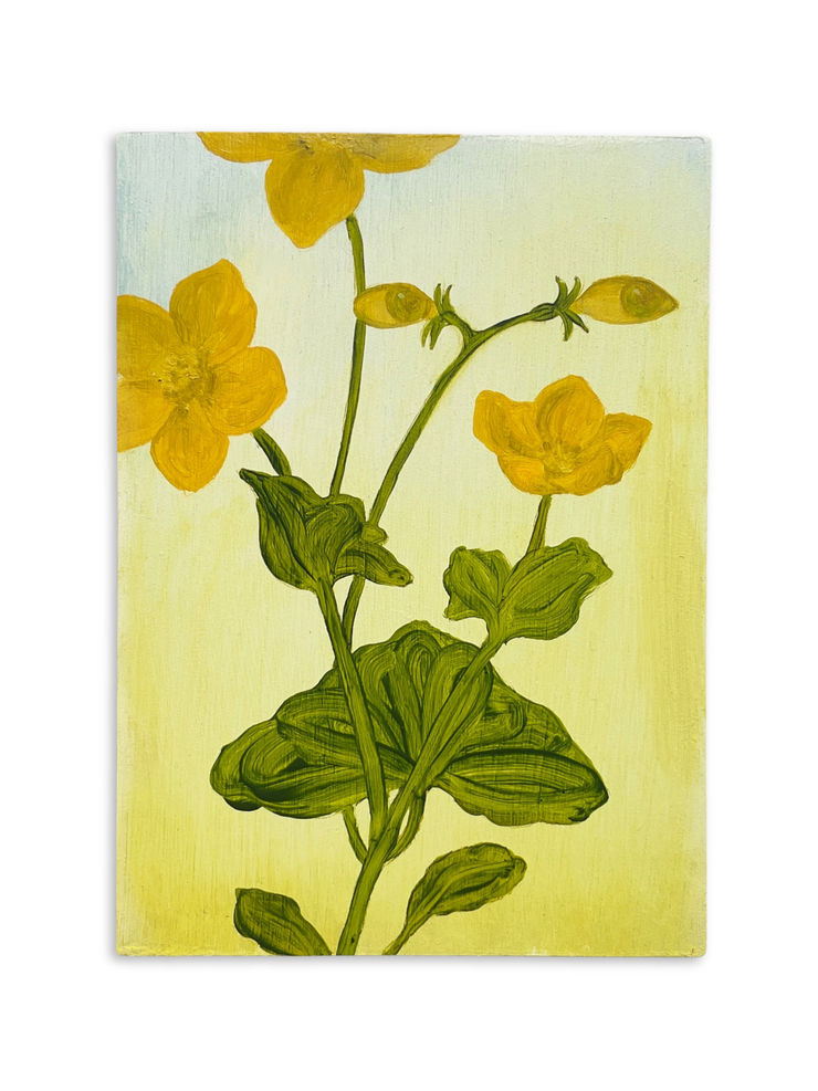 Xanthe Burdett, Golden Herald, 2025