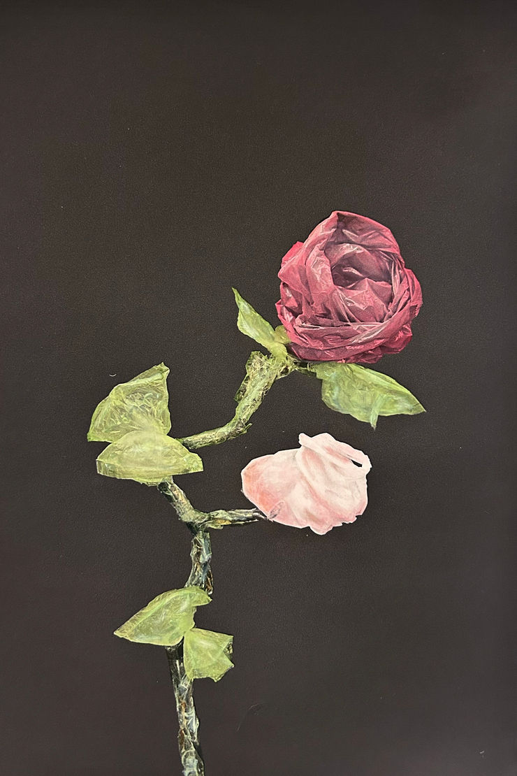 Lilja Birgisdóttir & Ingibjörg Birgisdóttir, Rós // Rose, 2024