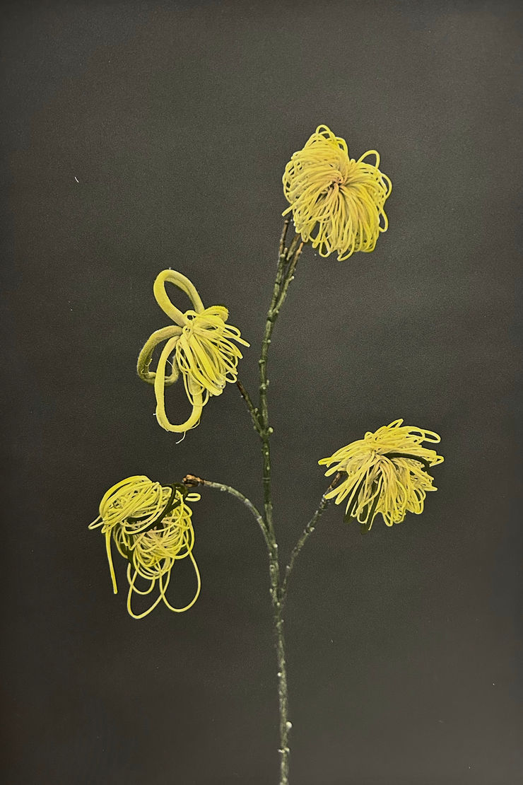 Lilja Birgisdóttir & Ingibjörg Birgisdóttir, Hárteygjur // Hair Ties, 2024