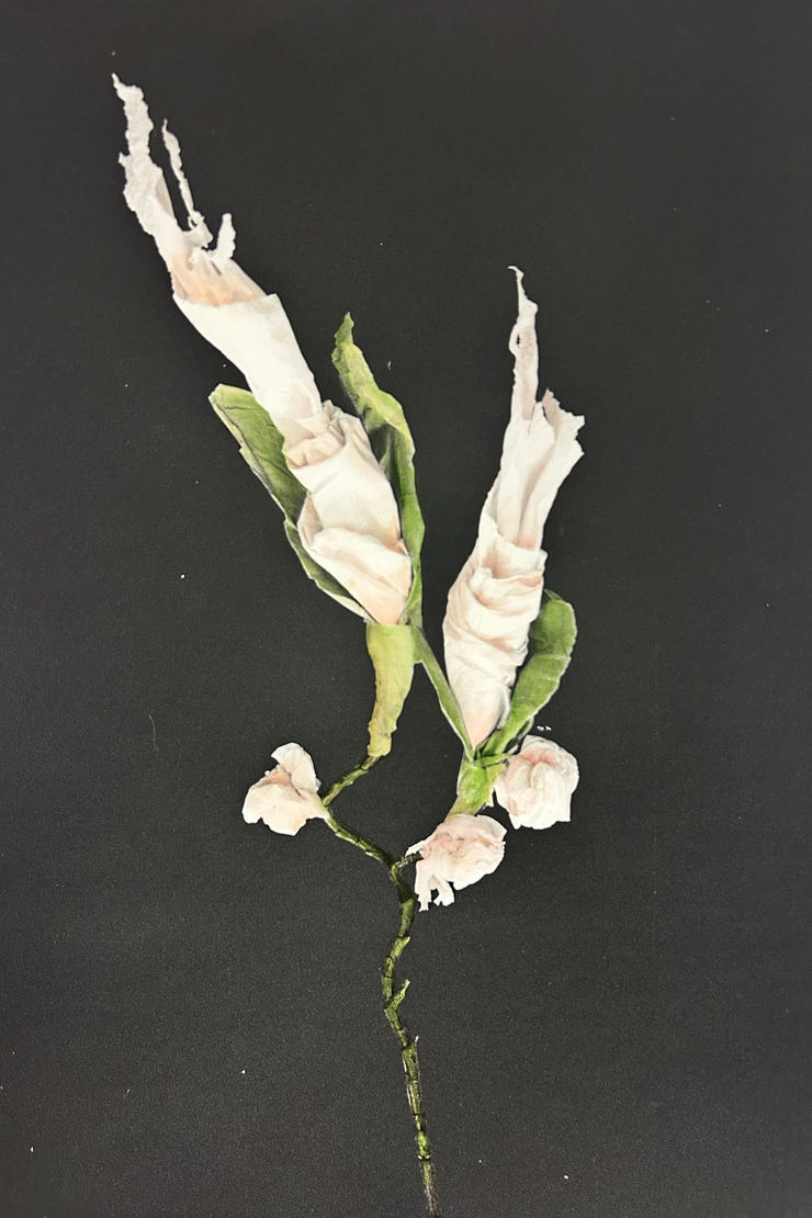 Lilja Birgisdóttir & Ingibjörg Birgisdóttir, Snýtupappír // Kleenex, 2024