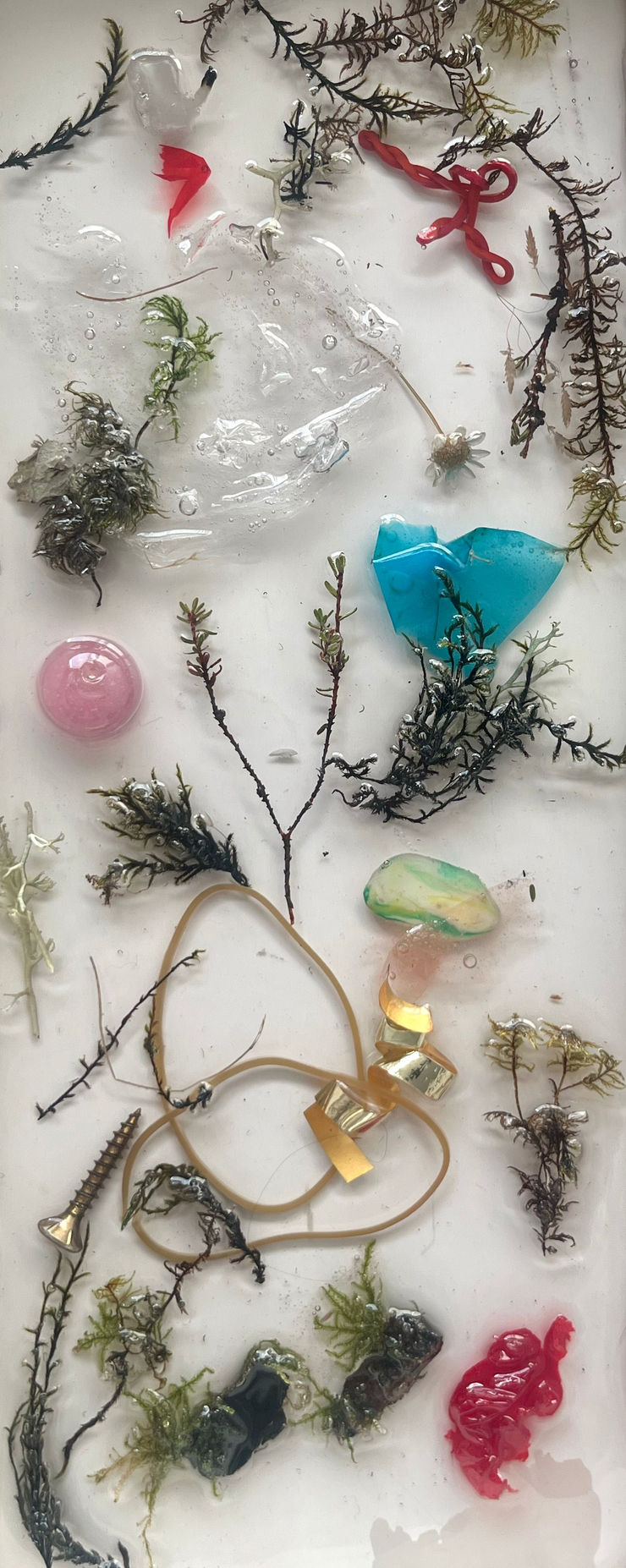 Lilja Birgisdóttir & Ingibjörg Birgisdóttir, Búslóð // Belongings 1, 2024