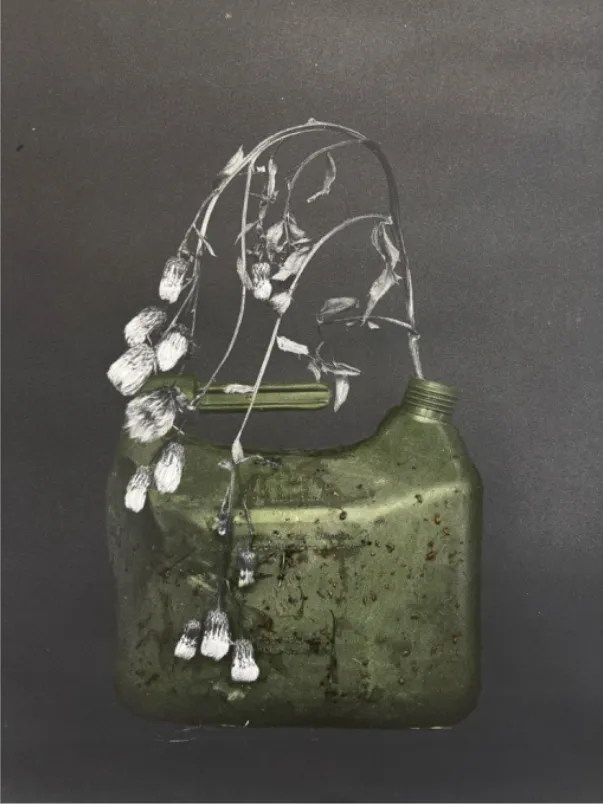 Lilja Birgisdóttir, Gasoline / Bensín, 2025