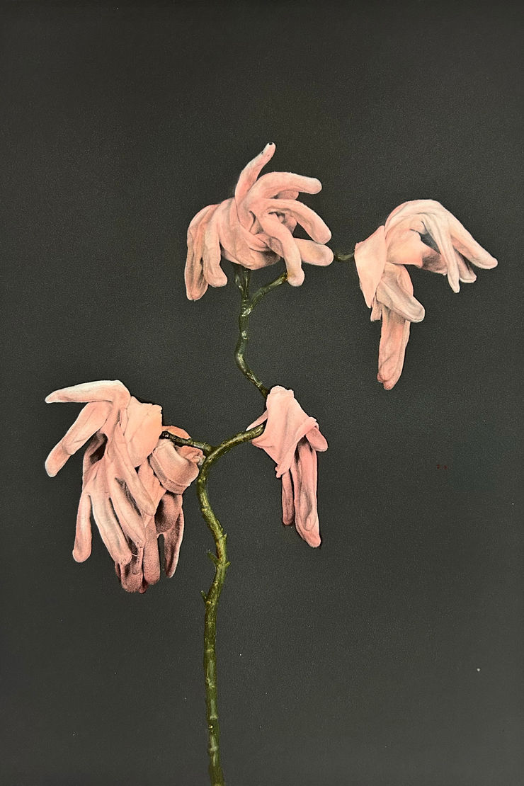 Lilja Birgisdóttir & Ingibjörg Birgisdóttir, Óskilamunir // Lost and Found, 2024