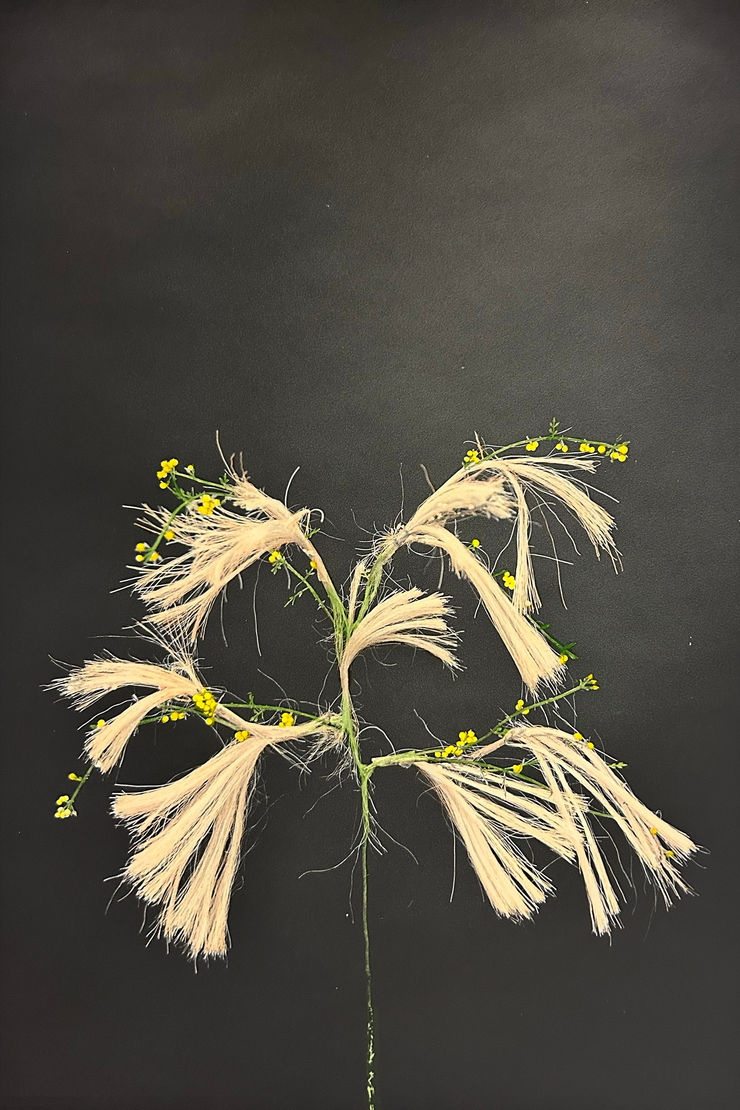 Lilja Birgisdóttir & Ingibjörg Birgisdóttir, Styttur // Layers, 2024