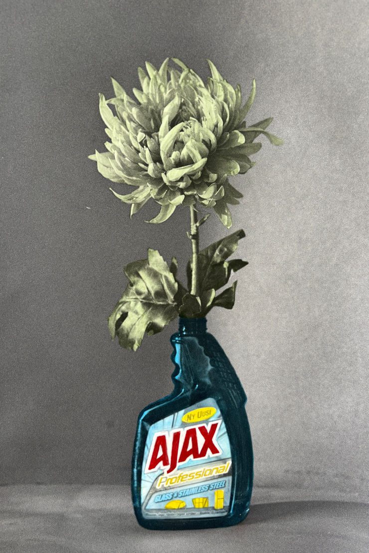 Lilja Birgisdóttir, Ajax Flowers / Blóm í Ajax, 2025