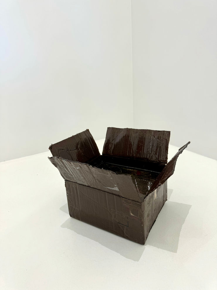 Lilja Birgisdóttir & Ingibjörg Birgisdóttir, Kassi / Box, 2024