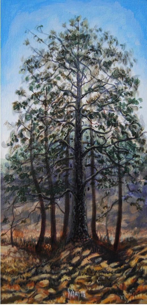 Xehan Vázquez, Conciencia vegetal, 2023