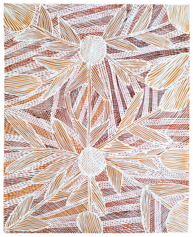 Mulkun Wirrpanda Nanka-Bakarra, 2017 Earth pigment on paper 68cm x 55cm