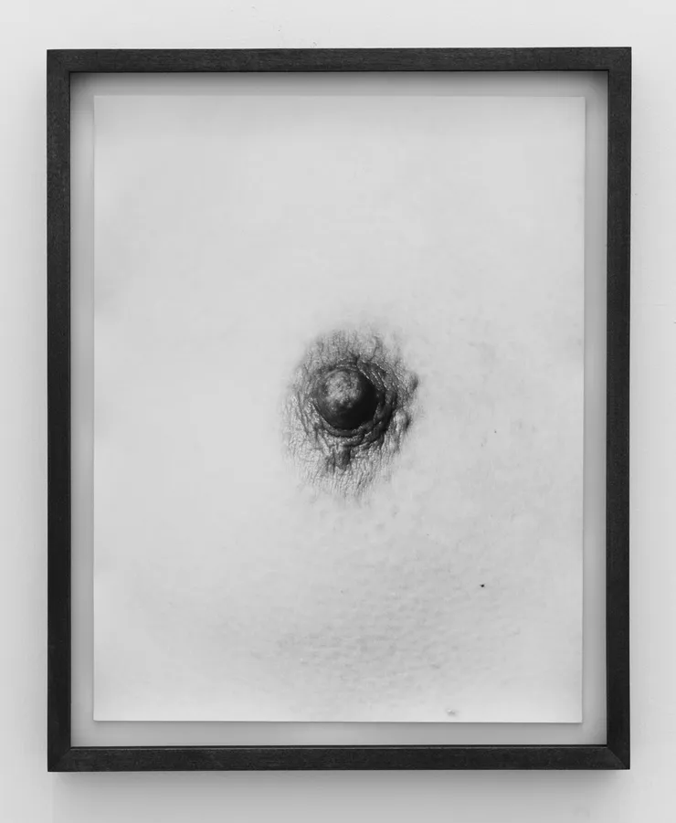 Talia Chetrit, Nipple, 2011