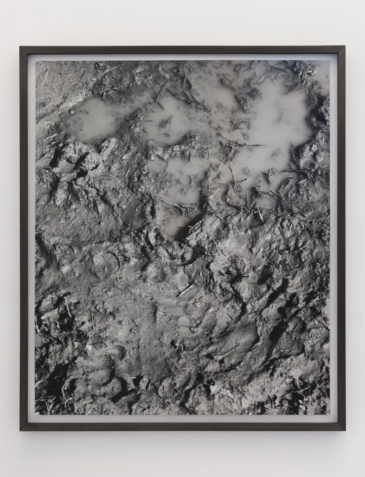 Talia Chetrit, Mud, 2011