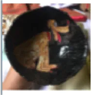 Magdalena Suarez Frimkess, untitled, 2019