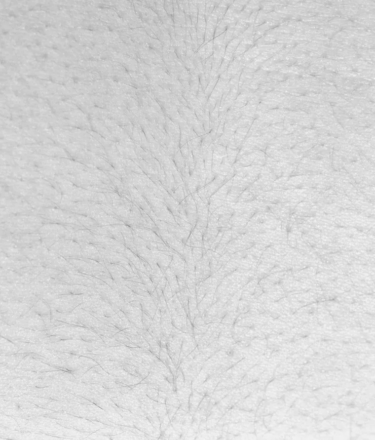 Talia Chetrit, Hair, 2012