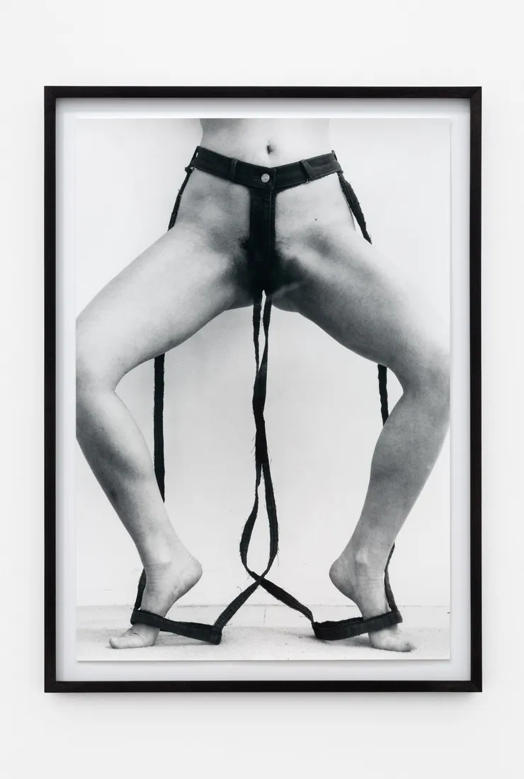 Talia Chetrit, Jeans, 2016