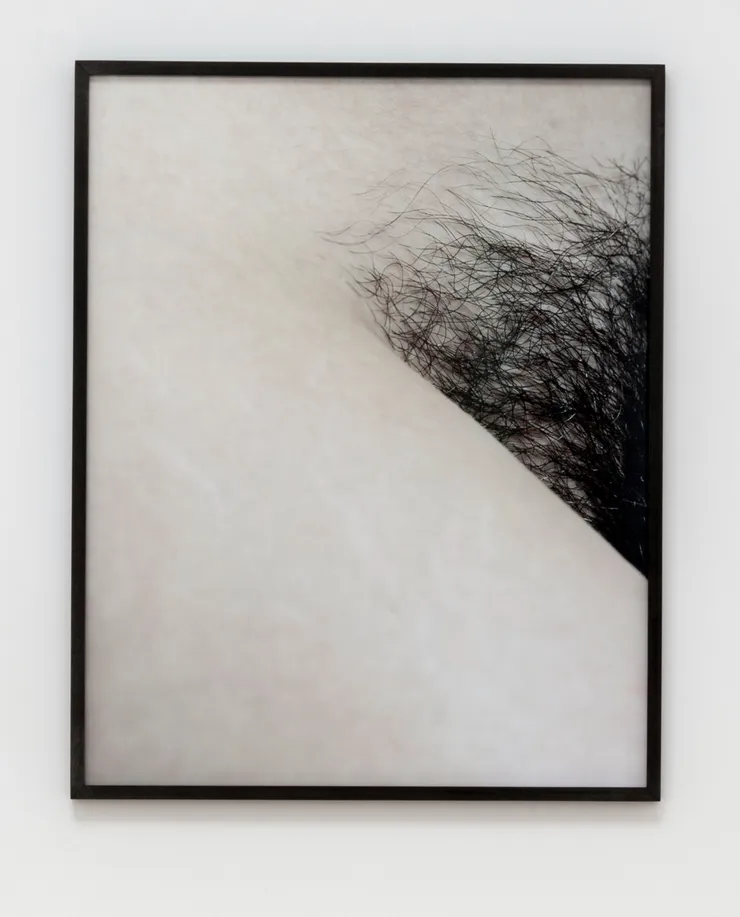 Talia Chetrit, Crotch, 2012