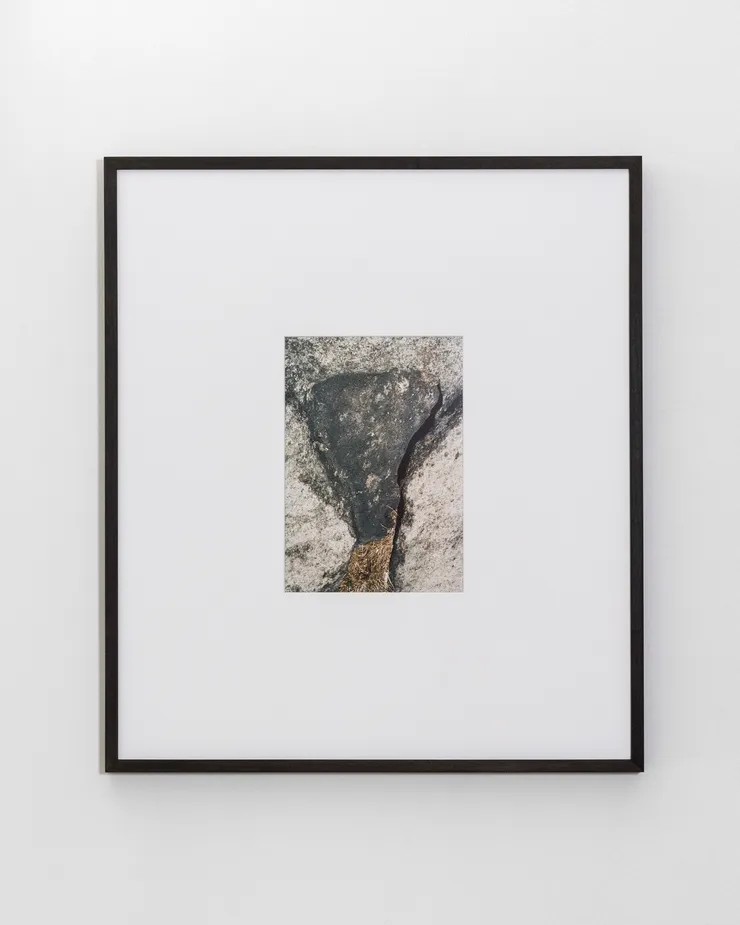 Talia Chetrit, Rock, 2015