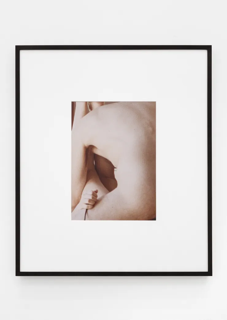 Talia Chetrit, Untitled (Sex #5), 2016