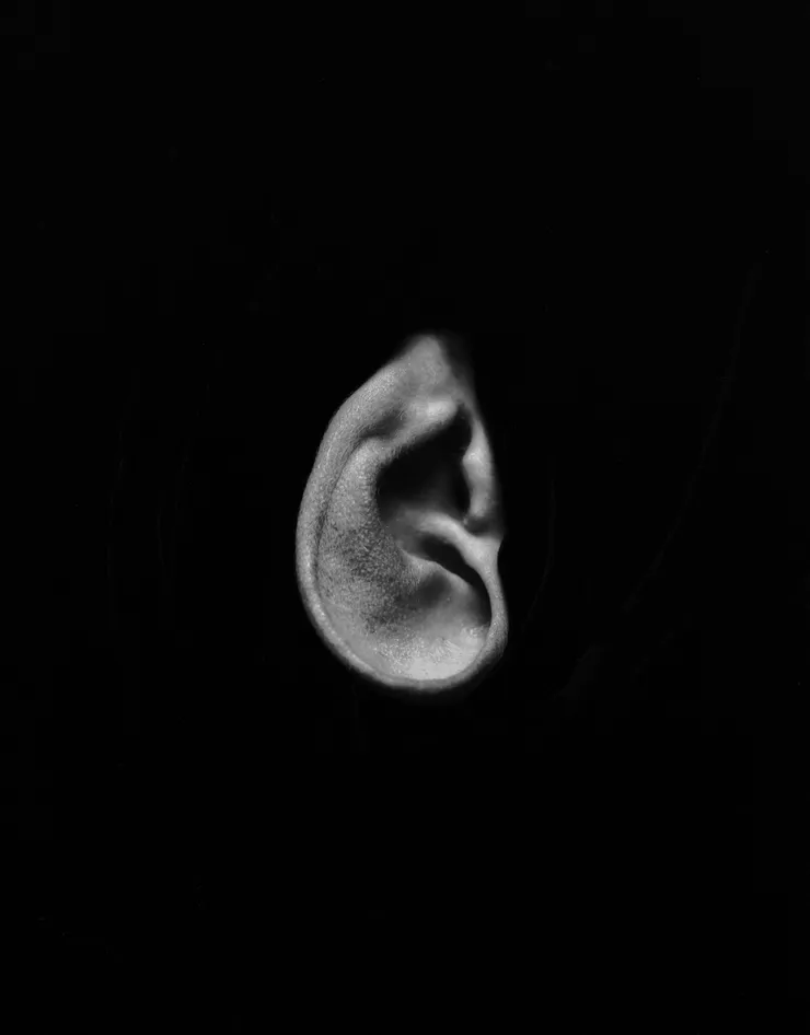 Talia Chetrit, Ear, 2012