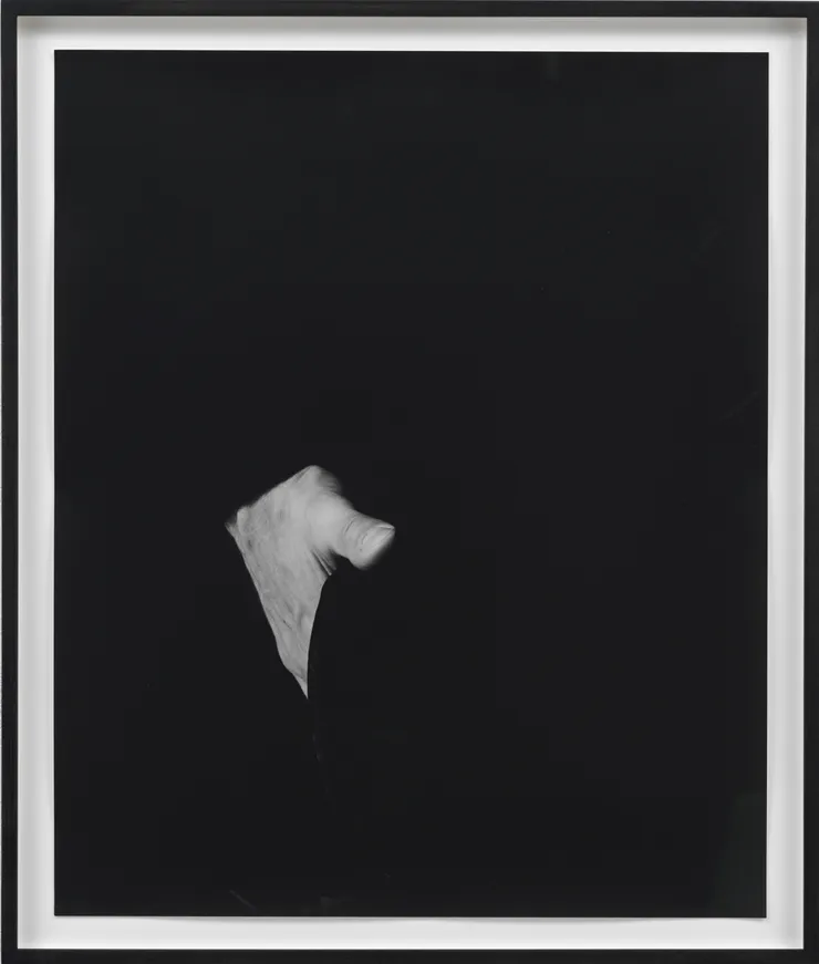 Talia Chetrit, Hand on Body (Ass), 2012