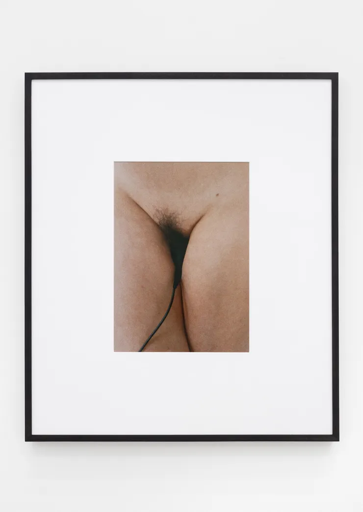 Talia Chetrit, Cable Release, 2016