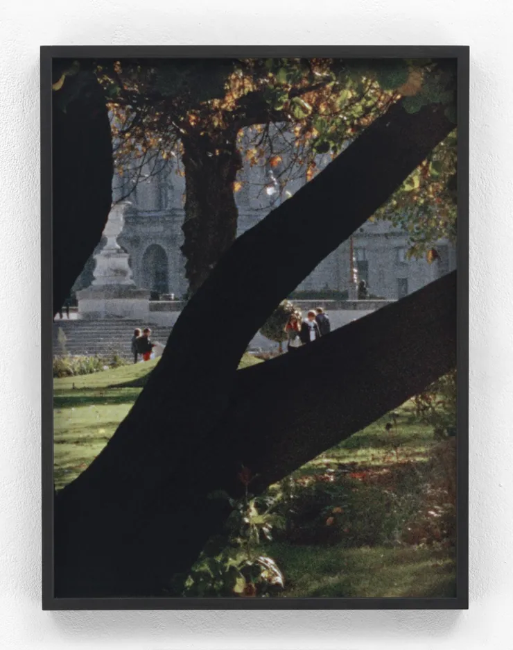 Talia Chetrit, Untitled (Street # 5), 2015