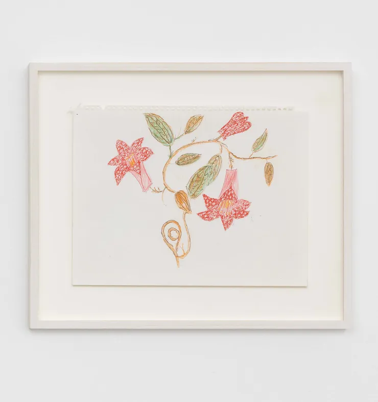 Magdalena Suarez Frimkess, Untitled, 2021