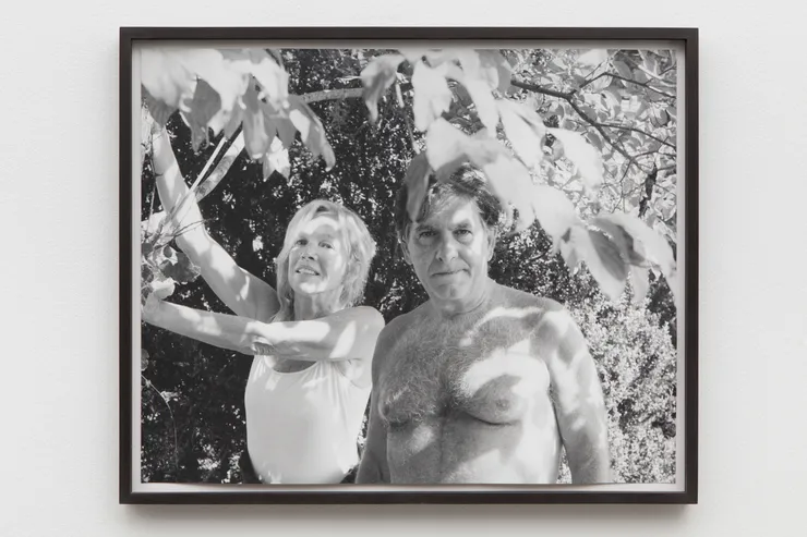 Talia Chetrit, Parents/Trees, 2014