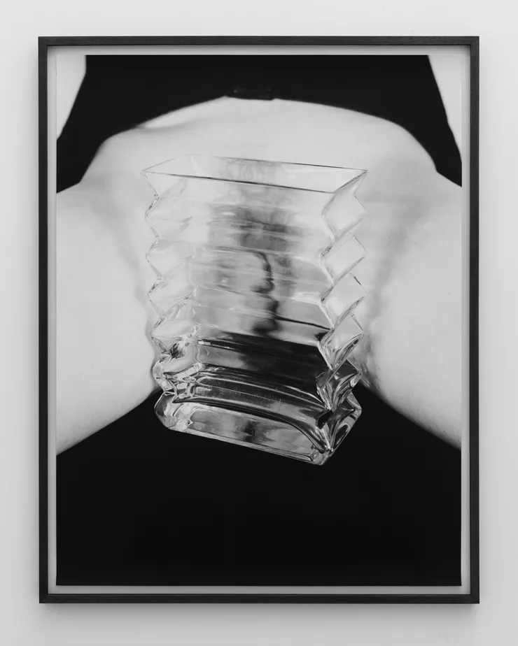 Talia Chetrit, Vagina/Vase, 2011