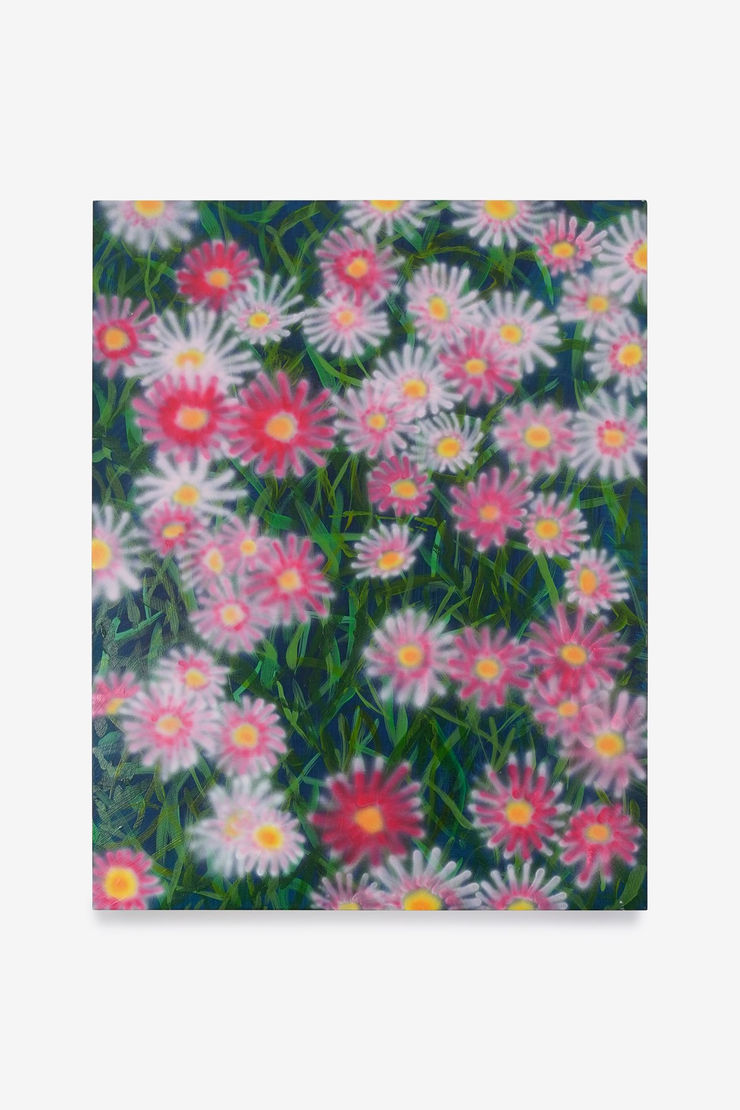 Alyss Estay, No Clear thoughts, 2019