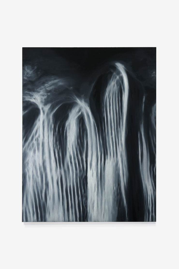 Gillian Haigh, A Steady Shade, 2024