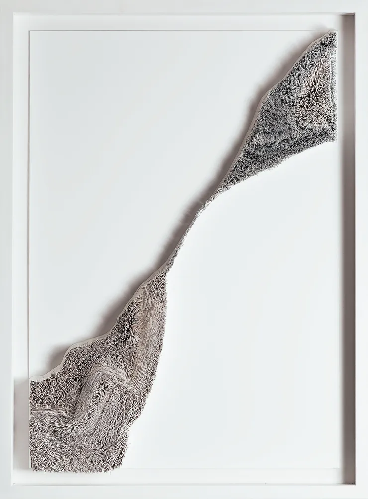 Our Journey in the Dream