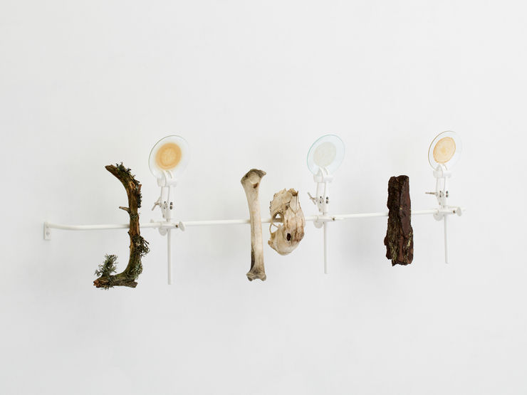 Elsa Salonen, Heavenly Wooded Area (Coloursheds III) , 2024