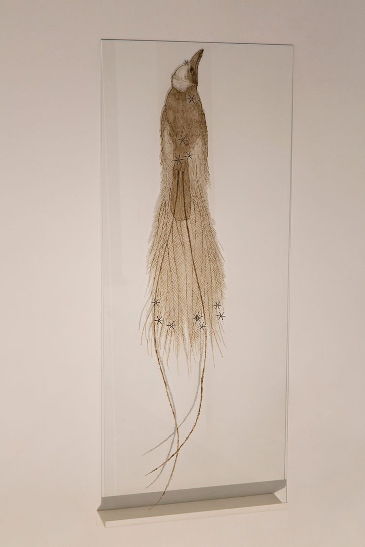 Elsa Salonen, We Are All Made of Stardust (Apus ), 2017