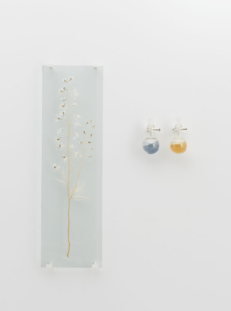 Elsa Salonen, Delphinium Spell (Deep Cyan, Winged Yellow), 2024