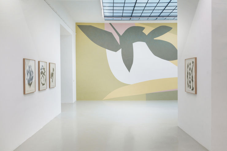 Installation View 'Folie'