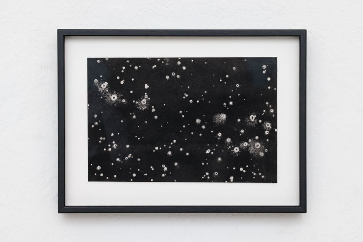 Maximilian Prüfer 01_001, 2026 Naturantypie on Paper 14 x 19 x 2 cm 5 1/2 x 7 1/2 x 3/4 in