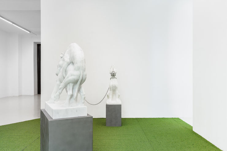 Irena Posner Installation View: Best in Show, 2023