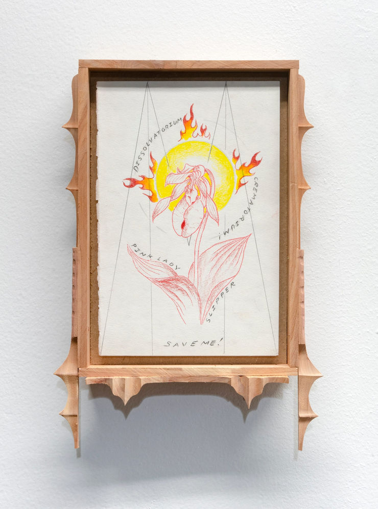 Harry Gould Harvey IV Cypripedium Acaule, 2020 Charcoal and colored pencil on paper, MDF, Foraged Eastern Red Cedar 29.21 × 20.32 × 5.72 cm 11 ½ × 8 × 2 ¼ in.