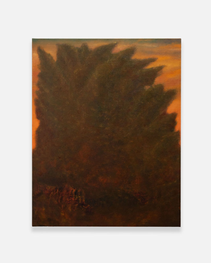 Sceptics Expect More Muted Growth II