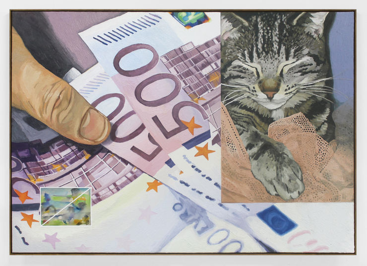 cool cats / crazy habits