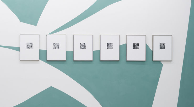 Orangerie, Installation View 1