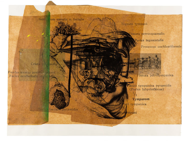 Kiste 2: ZWO Onkel Hermann Blatt 6