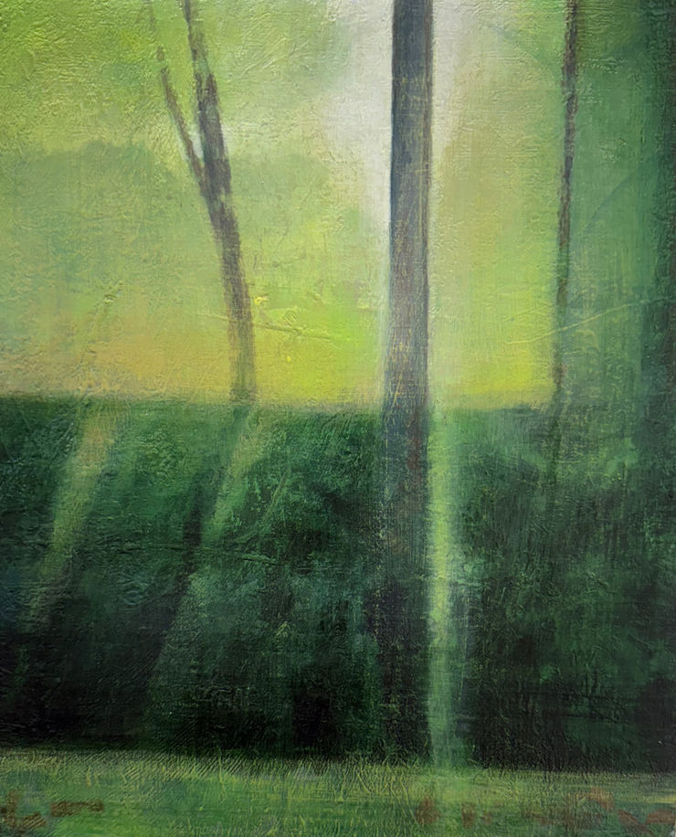 Katherine Taylor, Tree Line, 2025