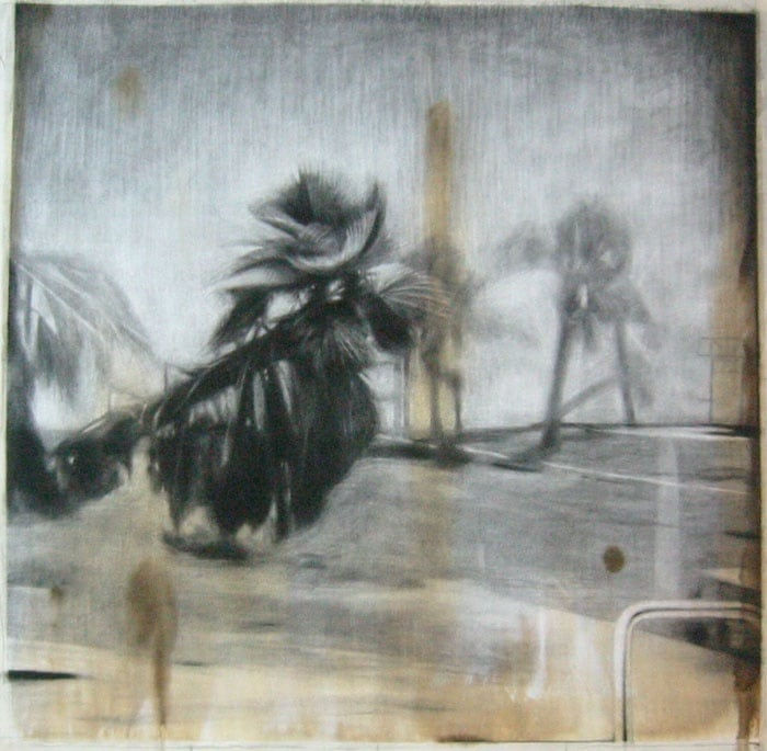 Katherine Taylor, Palm Trees, 2006
