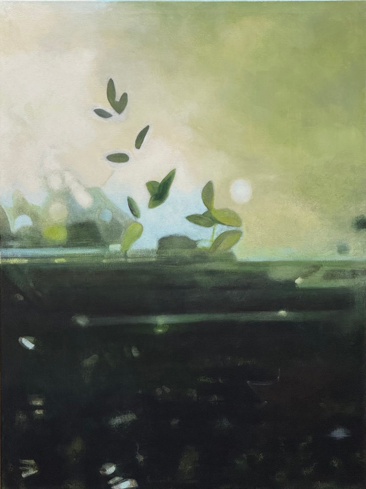 Katherine Taylor, Hedge, 2025