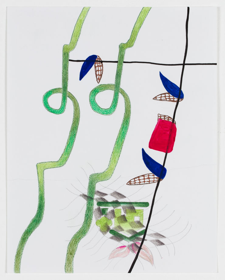 Sacha Ingber Untitled, 2016 gouache, ink, and colored pencil on paper 11 x 17 inches